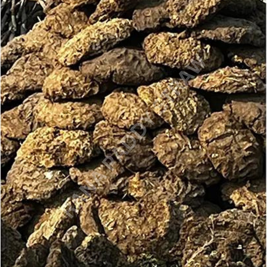 Fresh Cow Dung Cake